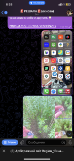 IMG_4605.png