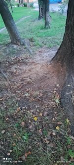 IMG_20250804_205020.jpg