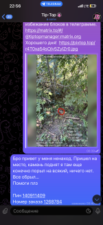 IMG_6004.png