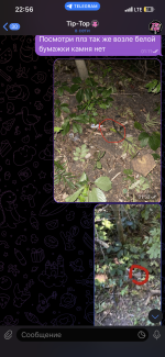 IMG_6006.png