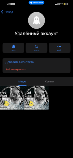 IMG_6012.png